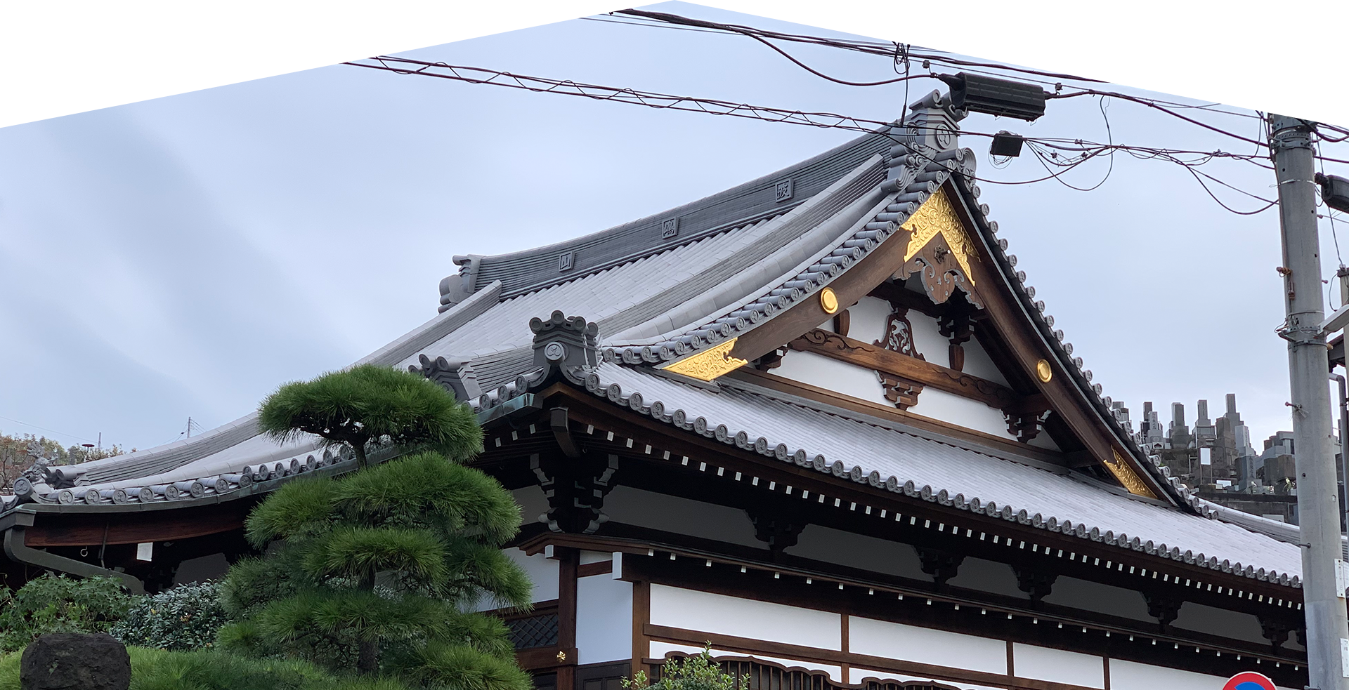 やね たなべ